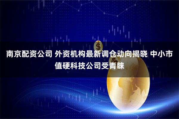 南京配资公司 外资机构最新调仓动向揭晓 中小市值硬科技公司受青睐